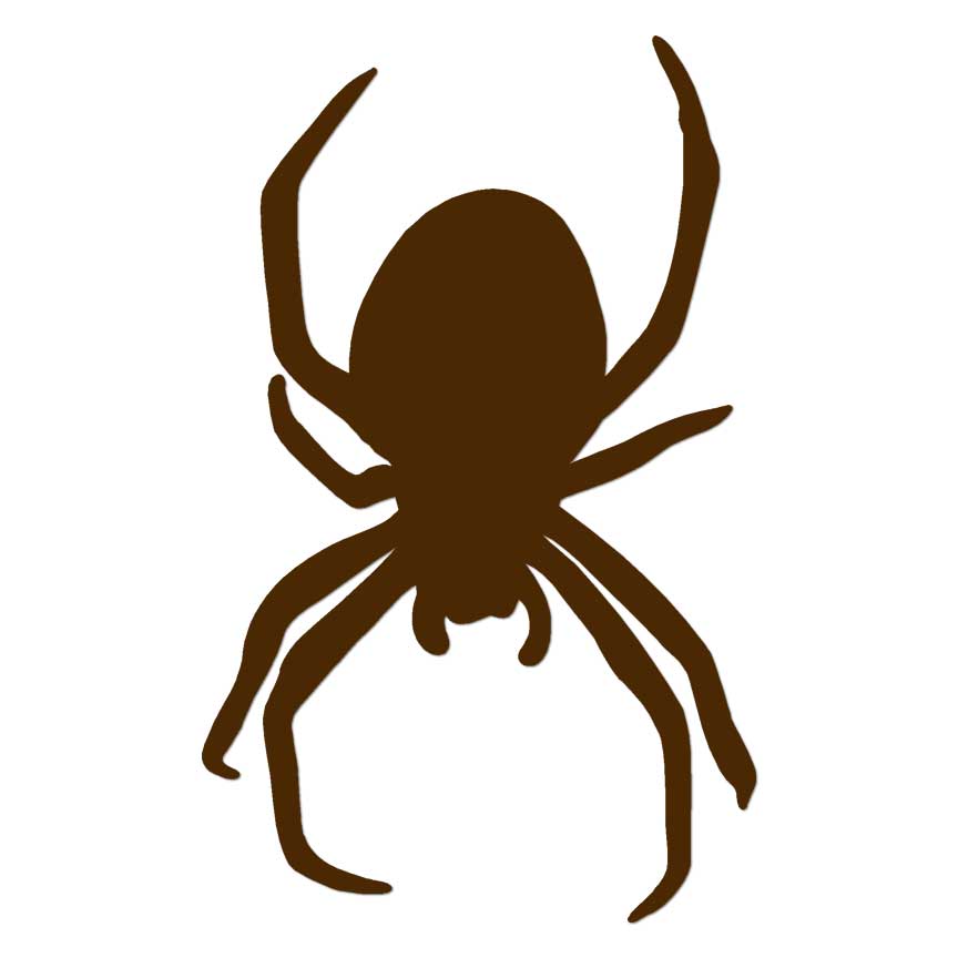 Spider, Vinyl Decal Sticker, Multiple Colors & Sizes #6684 | eBay